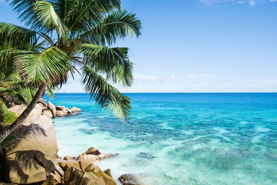 Beautiful tropical scene