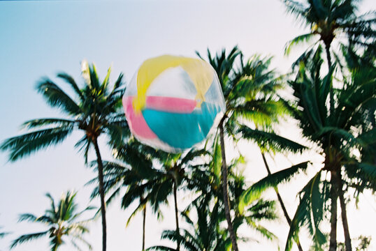 rainbow beach ball thrown in air in front of palm trees