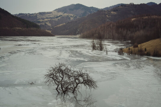 Mud covering landscape