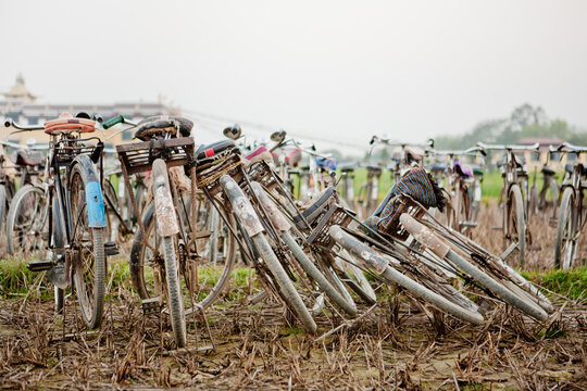 Row of Bicycles