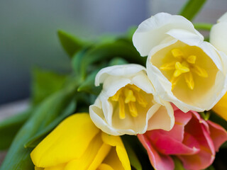 The bouquet of tulips lies on a wooden table. Beautiful bouquet of white and yellow tulips. Close up 
