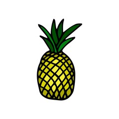 Colored Pineapple line Icon. Trendy Tropical Element. Vector Graphics. Isolated. Drawn by hand