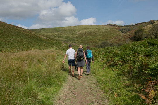 Three Adult Hikers and a Black Schnoodle Dog Walking along a Dirt Track on Exmoor National Park by the River Barle at Simonsbath in Rural Somerset, England, UK