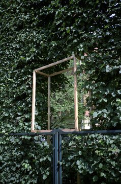 Green window