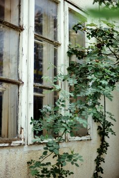 Old window