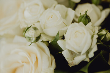 Bouquet de roses