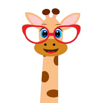 cute cartoon animal with  glasses vector illustration	