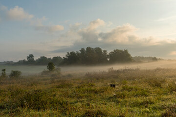 Morning mood on an early autumn day in the Uckermark, Germany