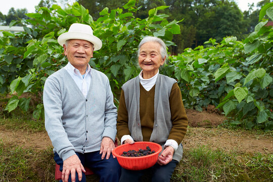 happy senior asian couple outdoor