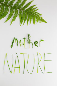 Mother nature