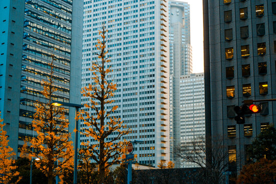 Tokyo city view.
