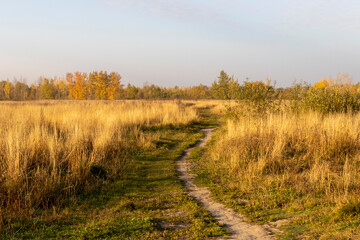 Russian road to the autumn forest.