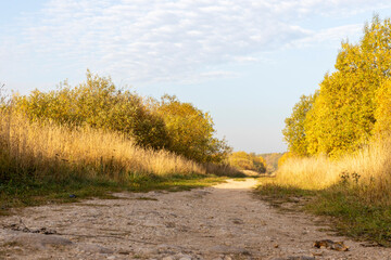 Russian road to the autumn forest.