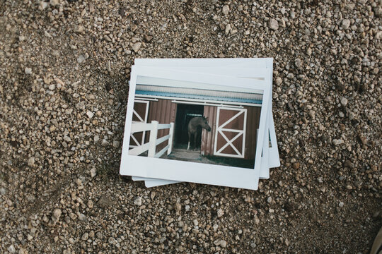 stack of instant photos from road trip on ground