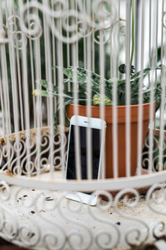 Cell phone left in bird cage to avoid communication