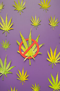 Marijuana