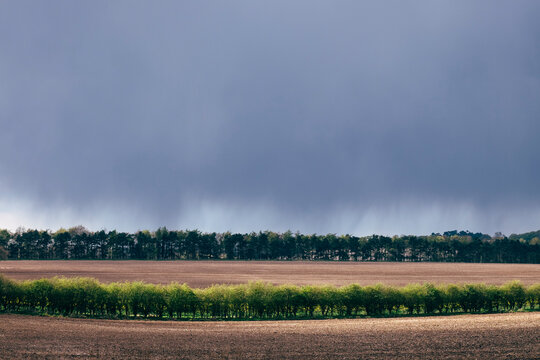 Sunlight on hedgerow with rain falling and black cloud beyond. Norfolk, UK.