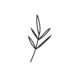 Vector rosemary branch with a black line.Simple food and cooking illustration in doodle style on a white isolated background hand drawn.Design for social networks,web,banners,menus,recipes.