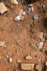 Moist yellow soil with lots of small stones, detailed texture