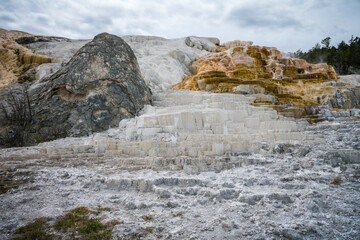hydrothermal areas of mammoth hot springs in yellowstone national park, wyoming in the usa