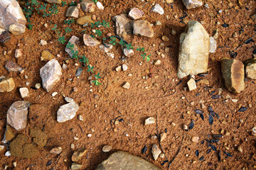 Moist yellow soil with lots of small stones, detailed texture