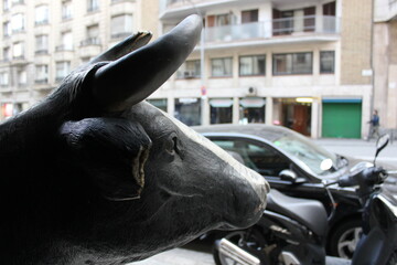 vaca perdida, asimilando la ciudad