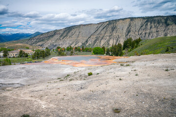 hydrothermal areas of mammoth hot springs in yellowstone national park, wyoming in the usa