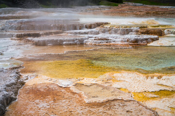 hydrothermal areas of mammoth hot springs in yellowstone national park, wyoming in the usa