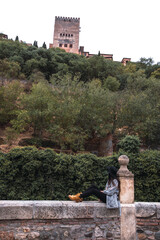 Mujer sentada mirando la Alhambra de Granada