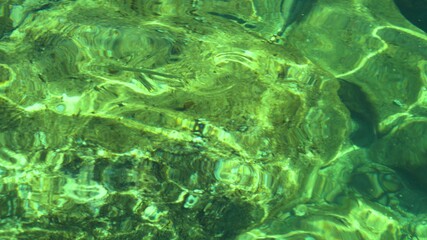 Fish under water. Cyprus. Pathos. Beach.