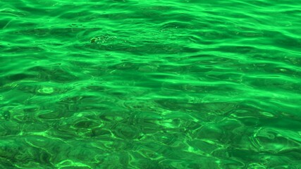 Fish under water. Cyprus. Pathos. Beach.