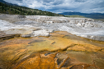hydrothermal areas of mammoth hot springs in yellowstone national park, wyoming in the usa