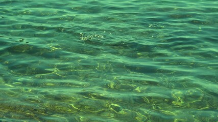 Fish under water. Cyprus. Pathos. Beach.