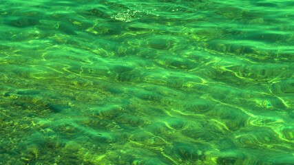 Fototapeta na wymiar Fish under water. Cyprus. Pathos. Beach.