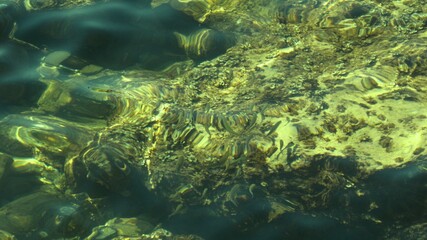 Fish under water. Cyprus. Pathos. Beach.