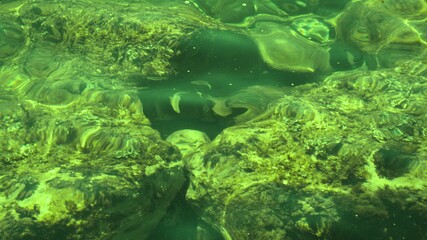 Fototapeta na wymiar Fish under water. Cyprus. Pathos. Beach.