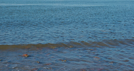 Sea wave over the rock