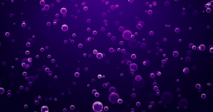 Effervescences bubbles violet in violet background, Loop