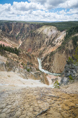 grand canyon of the yellowston from the north rim, wyoming, usa