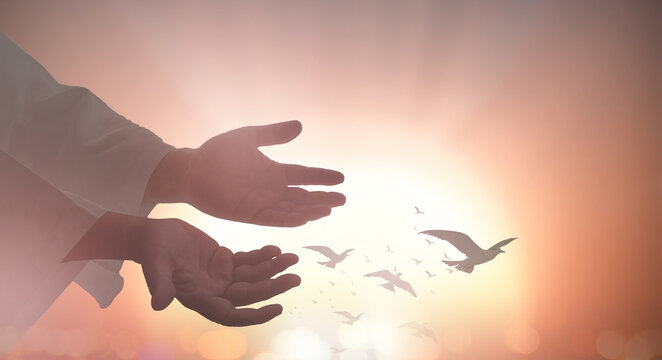 Ascension day concept: Two human hand in heart shape showing love friendship on blurred nature background	