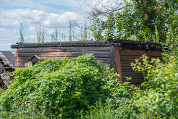 Burnt-out village house overgrown with weeds.