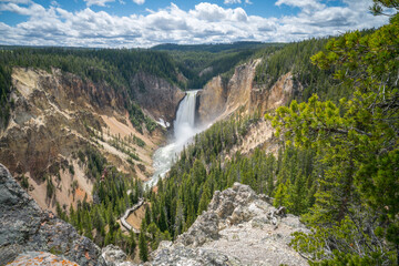 lower falls of the yellowstone national park, wyoming, usa