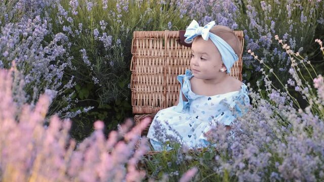 Kids photoshoot. The little cute girl is sitting in the lavender field. The child is wearing a lovely dress and a head band. Closeup image.