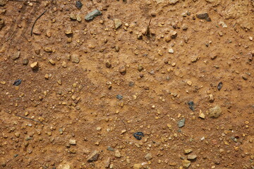 Moist yellow soil with lots of small stones, detailed texture