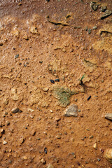 Moist yellow soil with lots of small stones, detailed texture