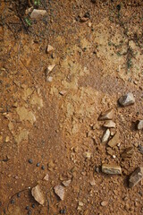 Moist yellow soil with lots of small stones, detailed texture