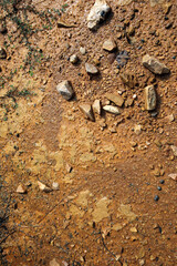 Moist yellow soil with lots of small stones, detailed texture