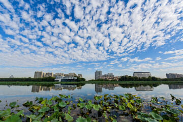 Blue sky and white clouds in the background of waterfront city skyline scenery, LUANNAN COUNTY, Hebei Province, China.