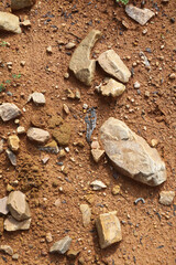 Moist yellow soil with lots of small stones, detailed texture