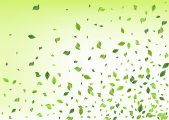 Fototapeta premium Forest Foliage Swirl Green Background Design. 